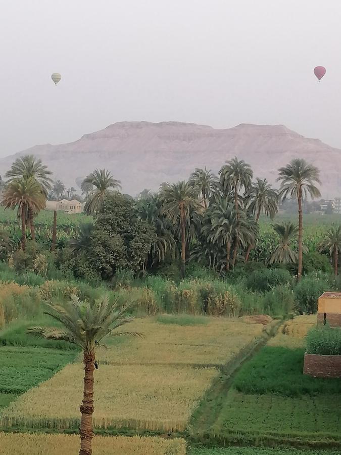 Luxor Palace Apartments Bagian luar foto