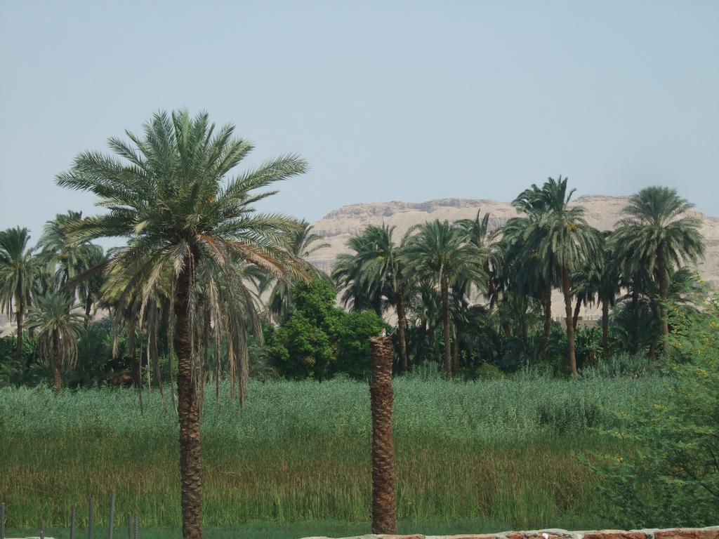 Luxor Palace Apartments Bagian luar foto